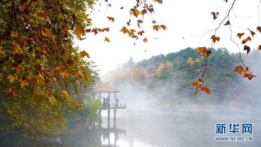 惠买力升级，和Coway一起打开双十一预售终极攻略