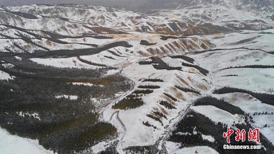 惠买力升级，和Coway一起打开双十一预售终极攻略