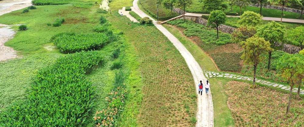 冯米出席G20圆桌对话：县域经济+互联网将是下一轮经济发展动能