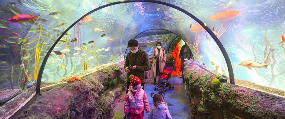 冯米出席G20圆桌对话：县域经济+互联网将是下一轮经济发展动能