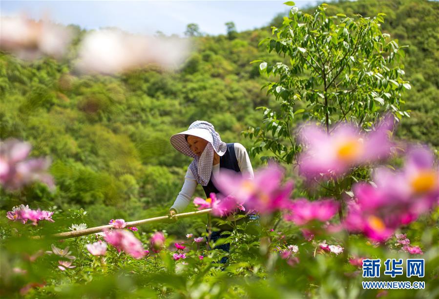 90后程序员职场报告：Java类求职难度最低 字节跳