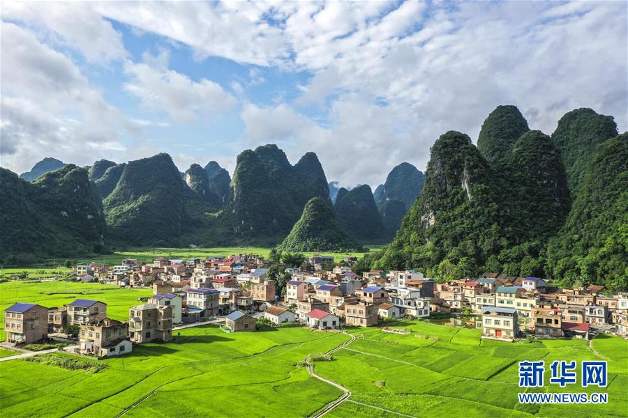 蒋国飞：区块链未来将成为数字经济基础措施