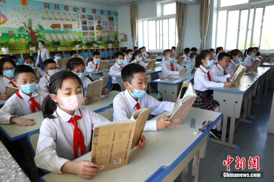 疫情后的补偿性消费 天猫国际全球开眼日引爆宠物经济新风口