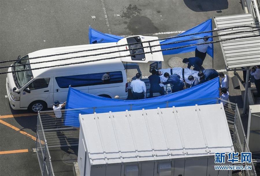 疫情后的补偿性消费 天猫国际全球开眼日引爆宠物经济新风口