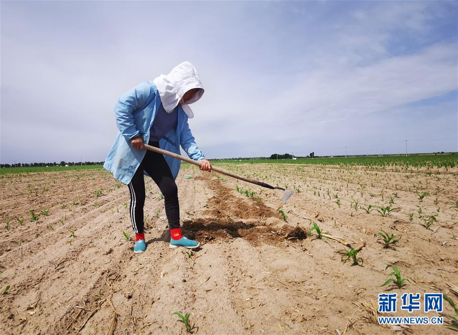 视频网站探索内容消费场景更多可能性