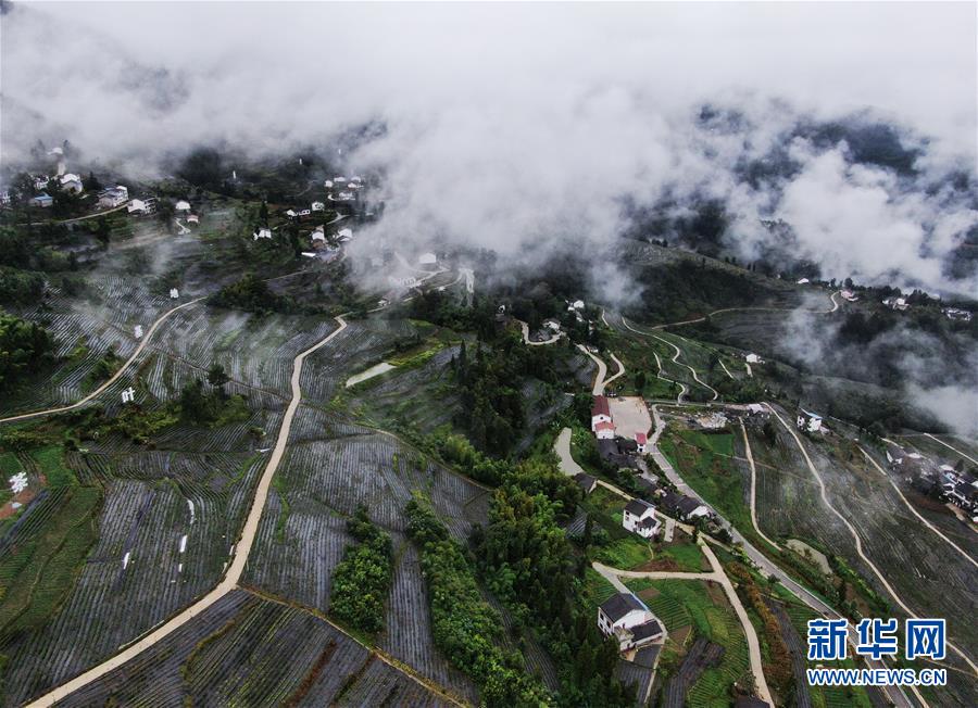 观山村人口_山村图片(3)