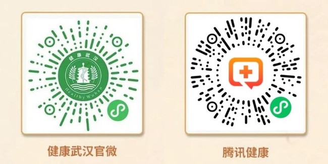 武汉电子健康卡上线“盲盒皮肤”致敬全国