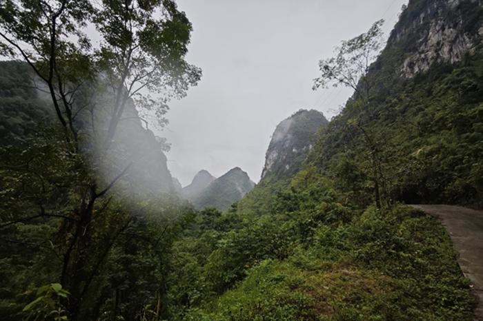 翻山越岭搭线送网进瑶寨 八桂大地数智铁塔护青绿 翻山越岭搭线送网进瑶寨 八桂大地数智铁塔护青绿